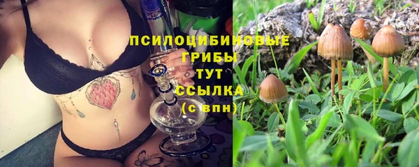 амф Балахна