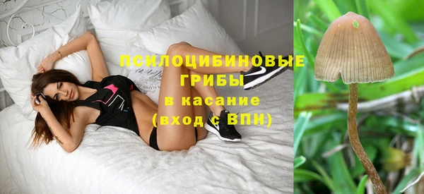 амф Балахна